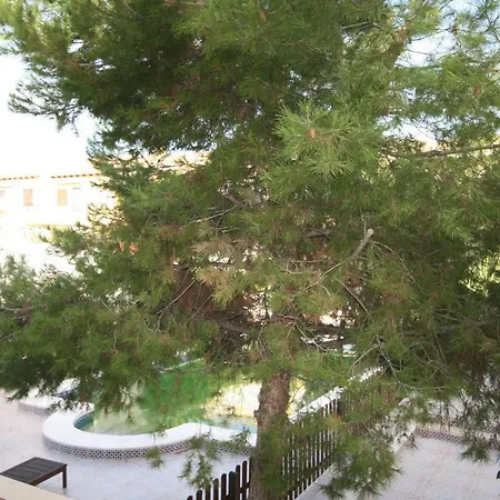 Economy Studio Calle La Loma 107 Apartment Torrevieja